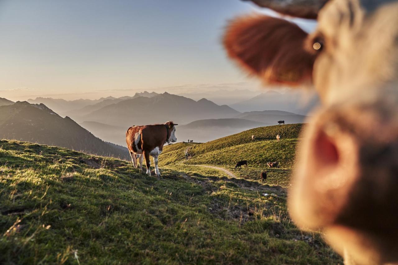 Appartamento Haus Sabine Leutasch Esterno foto